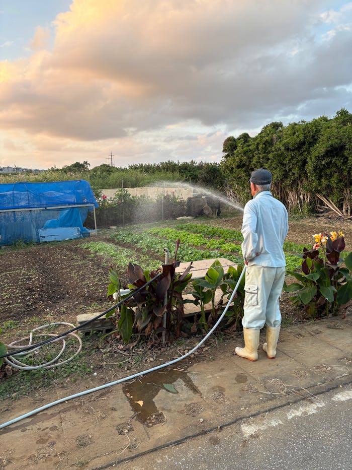 The farmer watering his crops.